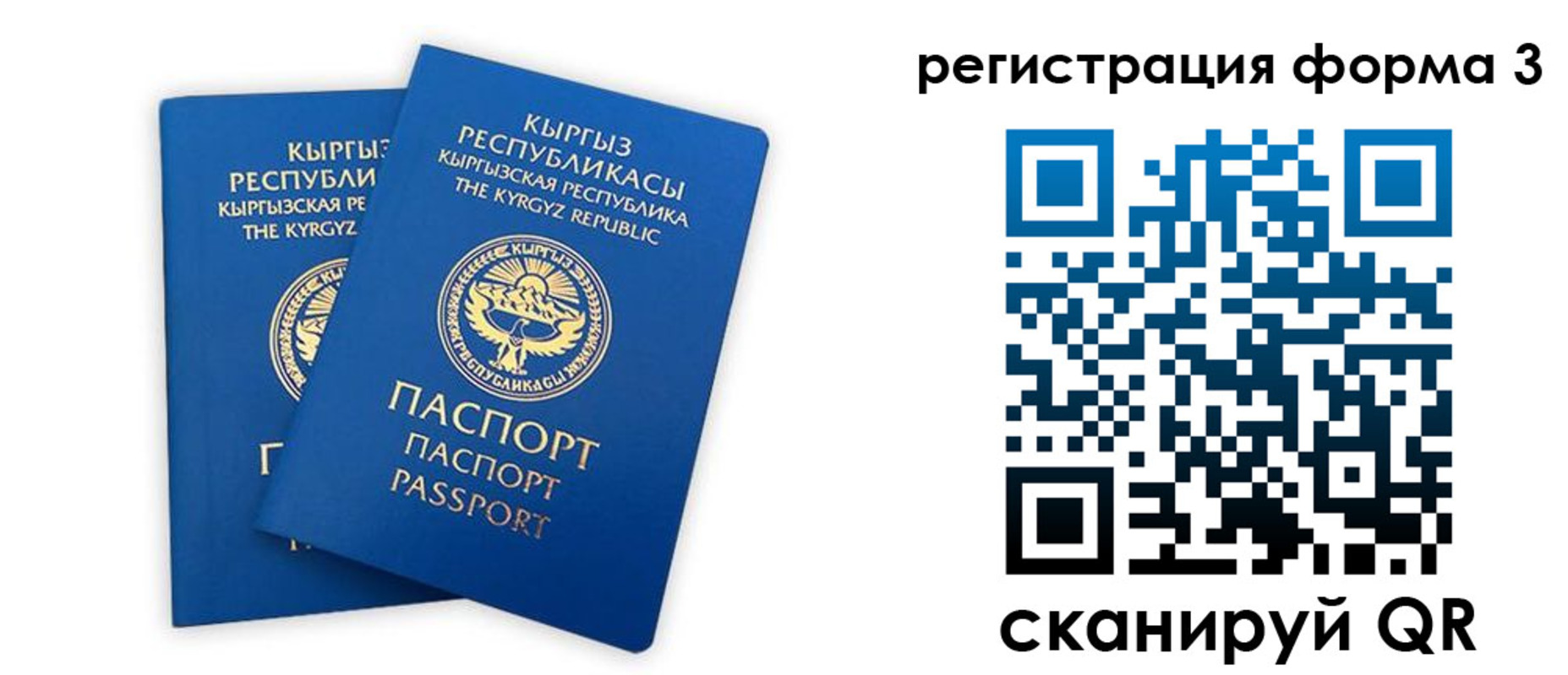 временная регистрация госуслуги в Покрове